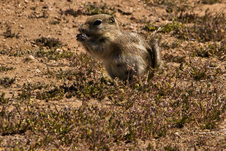 Exploring the Carrizo Plain National Monument