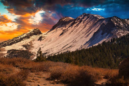 Mammoth in the fallの写真素材