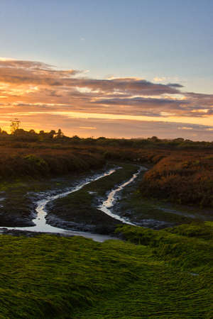 Exploring the Carpinteria bird refuge