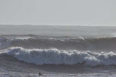Surfers on the Pacific Ocean in California, United States.