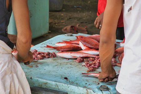 Fresh fish for sale at a seafood market in Bangkok, Thailand.の写真素材