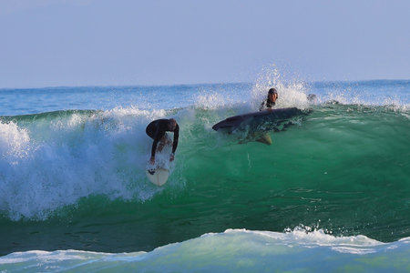 Surfer riding a big wave on the island of Bali, Indonesia