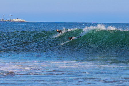 Surfer in action on the ocean wave on a sunny day.