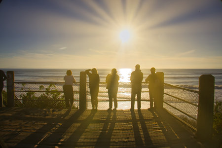 Silhouette of a group of people watching sunset at the beach