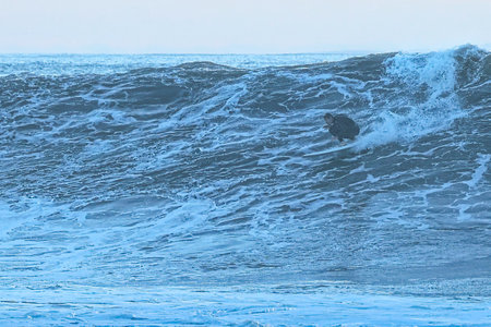 Big wave breaking on the coast of Atlantic ocean in winter, Iceland