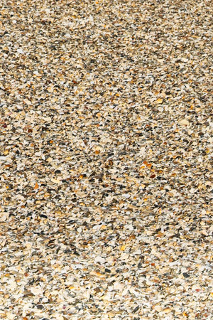 Gravel texture on the beach. Background and texture for design.