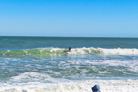 surfers on the beach, surfers on the beach, landscape