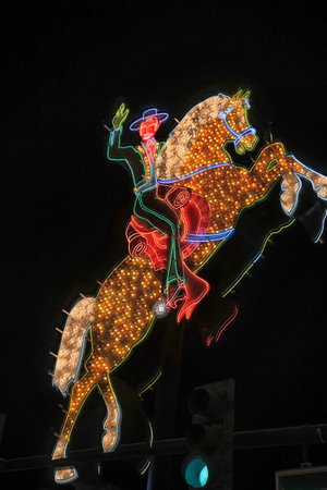 Illuminated horse in the street at night, closeup of photoの写真素材