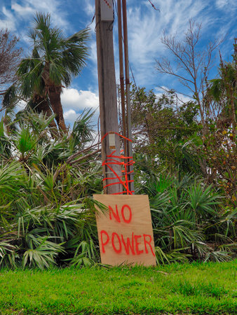 Sign in the park with palm trees and blue sky.の写真素材
