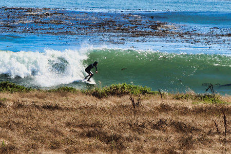 Surfer in action at the beach. Surfer on the wave.