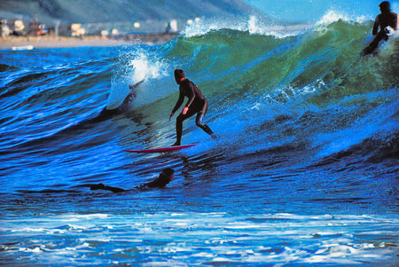 Surfer in action on the ocean wave on a sunny day.