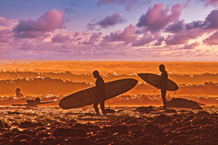 Surfers with surfboards on the beach at sunset. California, USAの写真素材