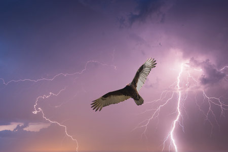 Eagle in the sky with lightning. 3D Renderingの写真素材