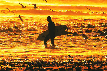 Surfer silhouette at sunset with a flock of seagulls