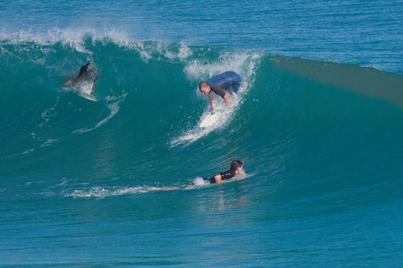 Bodyboarder surfing a wave on the beach of Oahu Hawaii