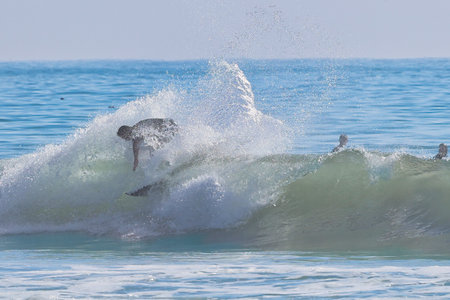 Dolphins jumping out of the water on a sunny day at the beach