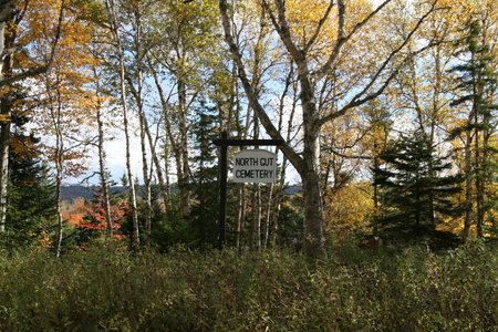 Autumn forest and sign in the middle of the forest.の写真素材