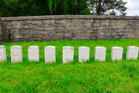 Stone tombstones in an old military cemetery on a green meadowの写真素材