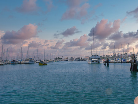 Boats and yachts in the marina at sunset.の写真素材