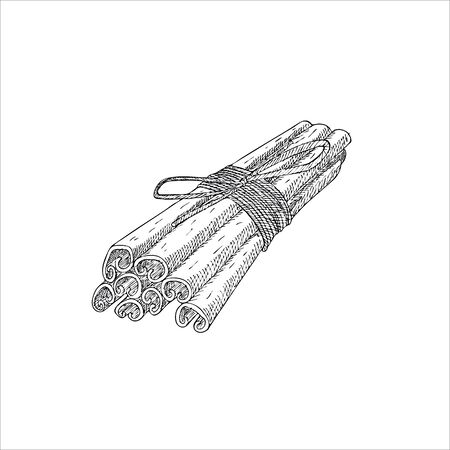 Engraving illustration of cinnamon sticks isolated on white backgroundのイラスト素材