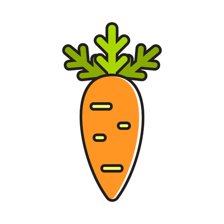 Illustration of carrot. Healthy food, vegetables, vegetarianism. Food concept. Can be used for topics like healthy food, cooking, vegetablesのイラスト素材