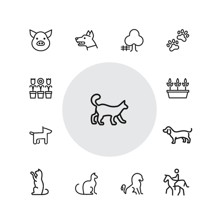 Animals and plant icons. Set of  line icons. Dog, cat, tree. Nature concept. Vector illustration can be used for topics like gardening, farm, zoo.のイラスト素材