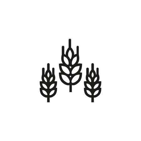 Wheatears line icon. Crop allergy, grain, harvest. Allergy concept. Vector illustration can be used for topics like agriculture, food, plantのイラスト素材