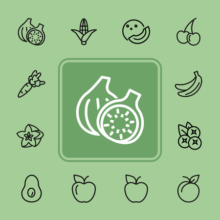 Healthy eating line icon set. Set of line icon on white background. Grocery concept. Apple, avocado, banana. Vector illustration can be used for topics like diet, fitness, grocery storeのイラスト素材