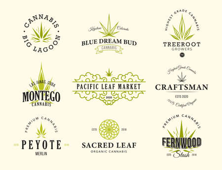 Various cannabis weed flat banners set. Vintage hemp leaf, marijuana, ganja badges or labels vector illustration collection. Marketing and smoking business conceptのイラスト素材