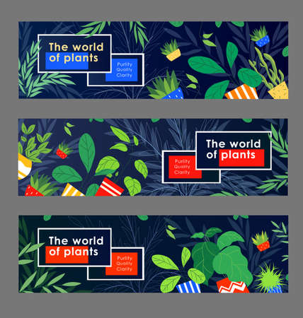 Green life banner design set. Houseplants, home plants in pots vector illustration with text samples. Template for greenhouse flyers or ecological brochuresのイラスト素材
