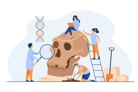 Tiny anthropologists studying Neanderthal skull flat vector illustration. Cartoon people doing DNA and Paleolithic research. Anthropology and prehistoric museum conceptのイラスト素材