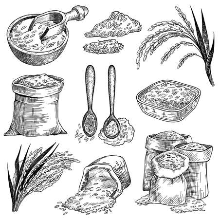 Rice grain in sacks and bowls sketch set. Rice ears plant vector illustration. Hand drawn cereal food product elements collection. Harvest, agriculture conceptのイラスト素材
