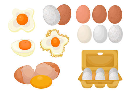Cartoon set of raw, boiled and fried eggs. Flat vector illustration. Organic farm product. Cooking, food, breakfast concept for advertising, appsのイラスト素材