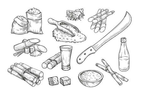 Sugarcane farm elements isolated hand drawn vector illustration collection. Engraved sugar cane, rum bottle, raw sugar and sweet liquor retro sketch. Alcohol drink and sugarcane conceptのイラスト素材