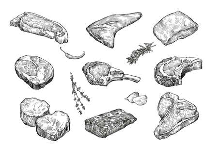Beefsteaks hand drawn vector illustration set. Engraved sketches of meat steak, ribeye, striploin for restaurant menu, recipe or grill conceptsのイラスト素材