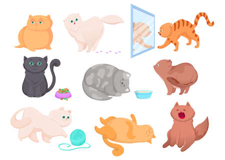 Different breeds of cute kittens vector illustrations set. Happy pet sitting near full bowl, orange kitty sleeping, playful Persian cat isolated on white background. Domestic animals, pets conceptのイラスト素材