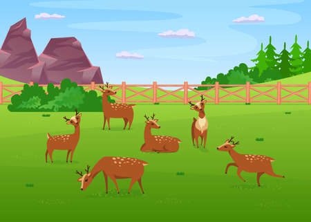 Deer grazing in meadow flat vector illustration. Little cute deer eating grass, lying, running and relaxing in nature landscape. Nature, wild animal, zoo concept for banner design or landing pageのイラスト素材
