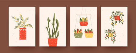 Set of contemporary art posters with plants theme. Vector illustration. .Collection of plants with flowers in colorful pots. Nature, plant, home interior concept for social media, postcards designのイラスト素材