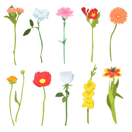 Set of cute wild field flowers. Cartoon vector illustration. Ten colorful blooming poppies, chamomiles, daisies, bells, buttercups. Flower, field, wild nature, botany concept for banner designのイラスト素材
