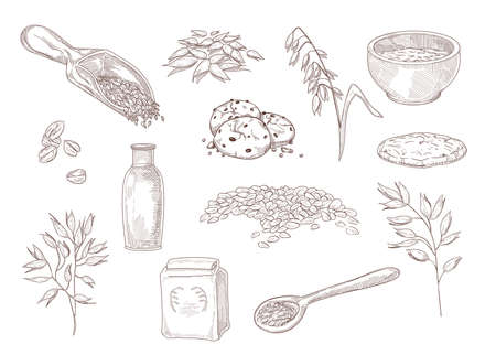 Hand drawn vintage sketch of ways of using oats. Bowl of oatmeal, cereal, cookies, grains in scoop, plants isolated on white background engraved illustrations set. Food, cooking, agriculture conceptのイラスト素材