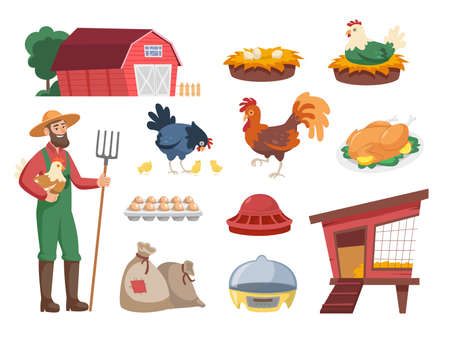 Cartoon farmer with hen and equipment vector illustrations set. Poultry farm, barn, chicken coop, different domestic birds, eggs and nests isolated on white background. Farming, agriculture conceptのイラスト素材