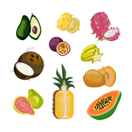 Exotic summer fruits set for vitamin menu. Vector illustrations of fresh tropical food. Cartoon pineapple mango carambola avocado papaya pitaya coconut isolated on white. Superfood, nature conceptのイラスト素材