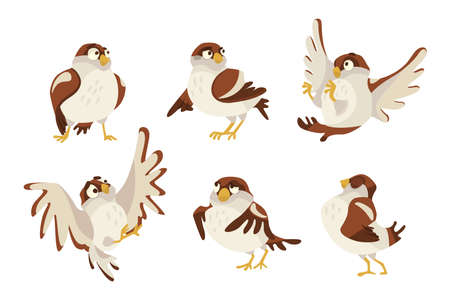 Cute sparrow in different poses cartoon illustration set. Funny small brown bird, expressing various emotion, walking, standing, flapping wings on white background. Animal, wildlife conceptのイラスト素材