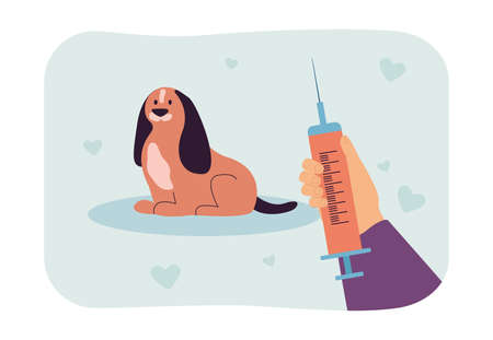 Veterinarians hand holding syringe for injection to little dog. Treatment or vaccination of pet from person flat vector illustration. veterinary concept for banner, website design or landing web pageのイラスト素材