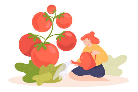 Tiny cartoon woman watering huge tomato plant. Gardener with watering can flat vector illustration. Gardening, agriculture or farming, nature concept for banner, website design or landing web pageのイラスト素材