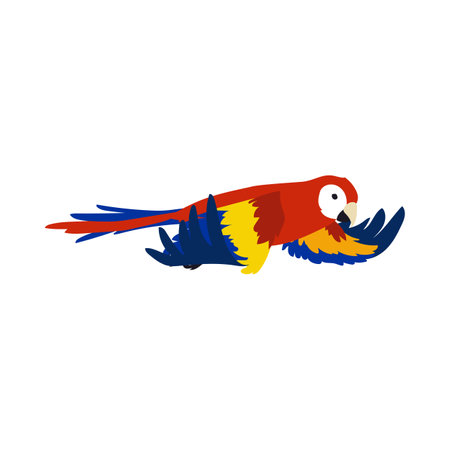 Red tropical parrot spreading wings vector illustration. Bird flapping wings, movements of wings. Red ara flying in sky isolated on white background. Animal, motion conceptのイラスト素材