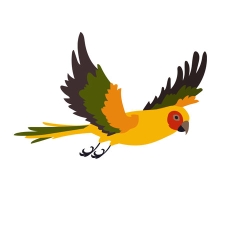 Yellow ara with spread wings vector illustration. Bird flapping wings, flight movements. Colorful ara flying in sky isolated on white background. Animal, motion conceptのイラスト素材
