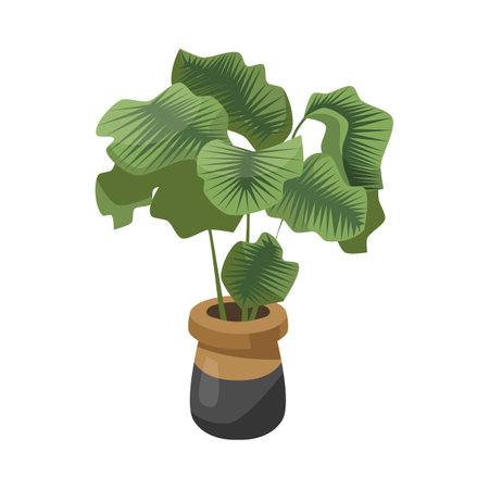 Alocasia in brown and black flowerpot flat vector illustration. Indoor houseplant, tall flower with big green leaves in pot isolated on white background. Nature, urban jungle conceptのイラスト素材