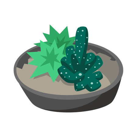 Composition of tropical cactus and succulent in pot. isolated on white background. House plant cartoon vector illustration. Florarium, terrarium, botanical interior conceptのイラスト素材