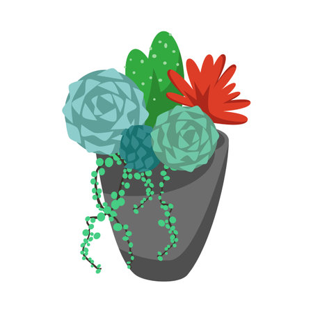 Composition of tropical cactus and succulents in pot. isolated on white background. House plant cartoon vector illustration. Florarium, terrarium, botanical interior conceptのイラスト素材